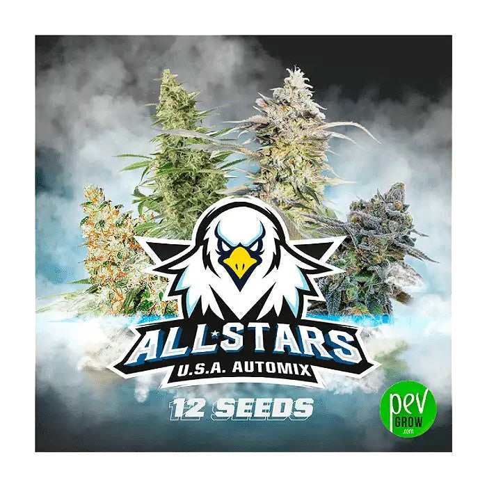 AllStarUSAAutomix