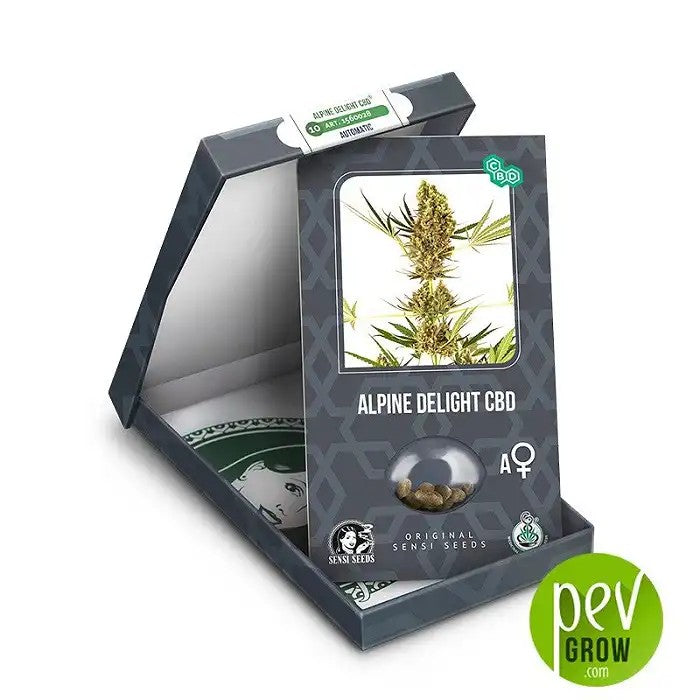 AlpineDelightCBDAutoparSensiSeeds–HybrideautofloraisonricheenCBD,faibleenTHC·Compacteetfacileàcultiver