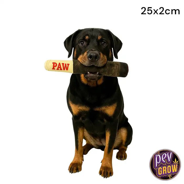 JouetInteractifCigarepourChien