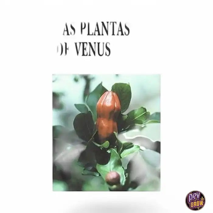 PlantesdeVenusC.Ratsch–Espagnol