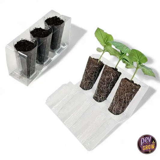 10BacdePropagationPliableTransparentpour3Boutures24x13x8cm