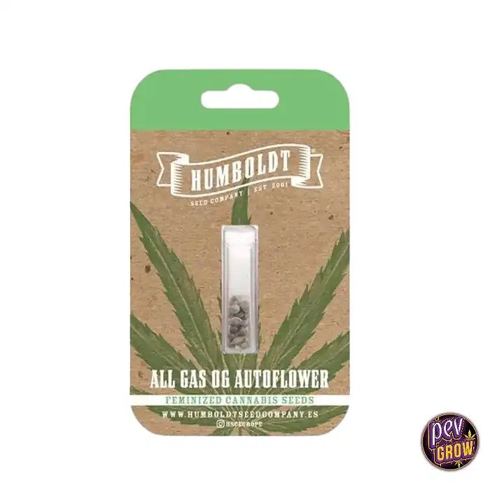 AllGasOGAutoHumboldtSeeds–AutofleurissanteRapideetRendementÉlevé