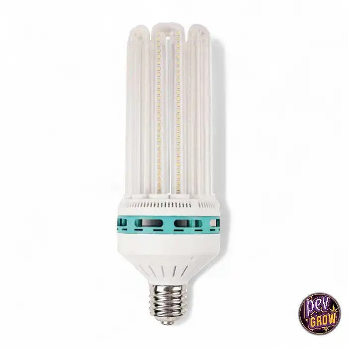 AmpouleLEDSoluxFloraison75W–SpectreE401300K