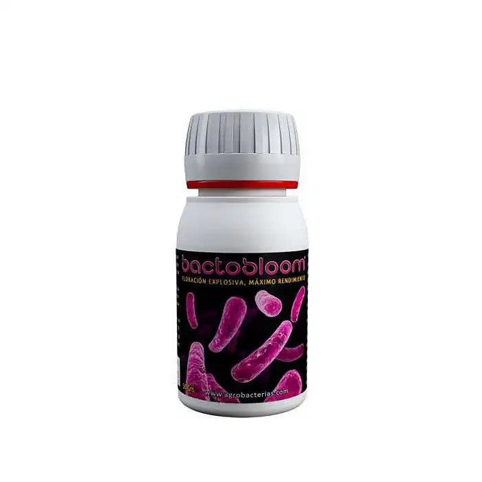 Bactobloompourlafloraison,Agrobacterias–Stimulantmicrobienpourbourgeonsexplosifsetrendementsplusélevés