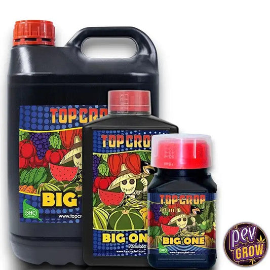 BigOneTopCrop–StimulateurdeFloraisonauxAlguespouruneRésineAbondante