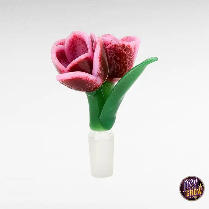 BolBong–BowlPiece–Tulip–Rose