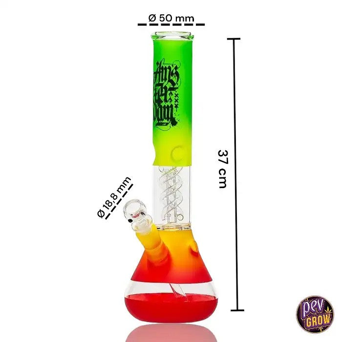 BongenVerreavecPercolateurRasta37cm