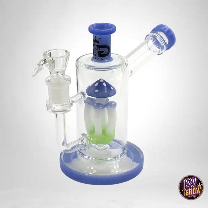 BongenVerrePercolateurChampignonBleu19cm