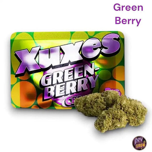 BourgeonsCBDXuxes3gr.GreenBerry