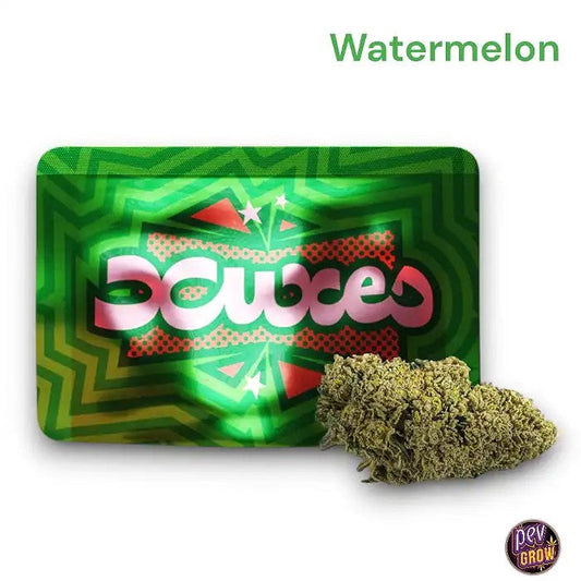 BourgeonsCBDXuxes3gr.Watermelon