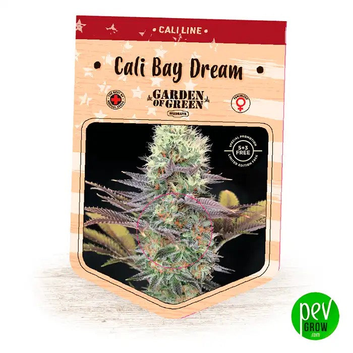 CaliBayDreamSeeds·GardenOfGreen·Hybridepremiumàfleursféminisées