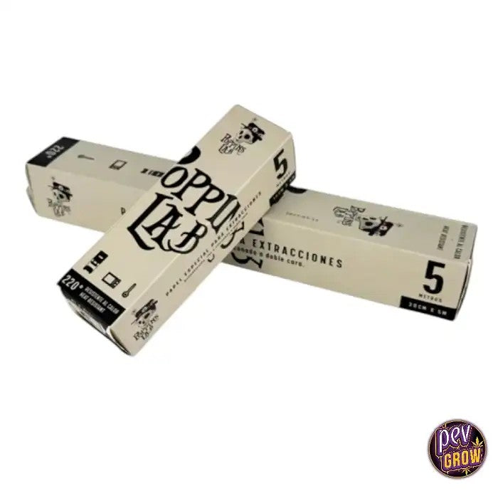 Papierd’ExtractionPoppinsLab5m