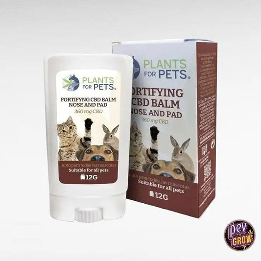 PetsStickFortifiant12g