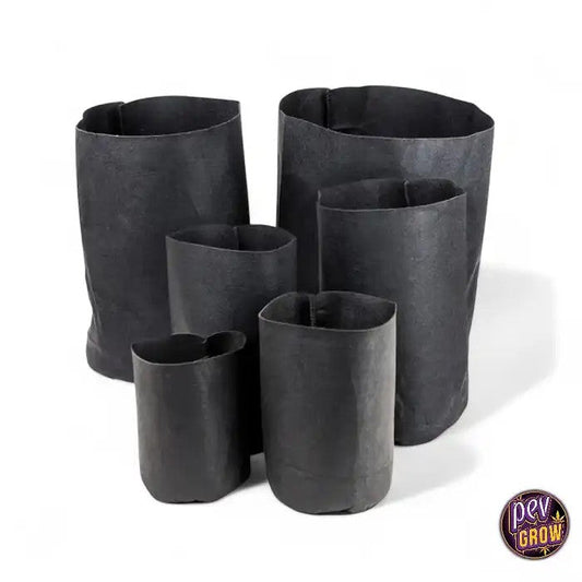 PotRootTex
