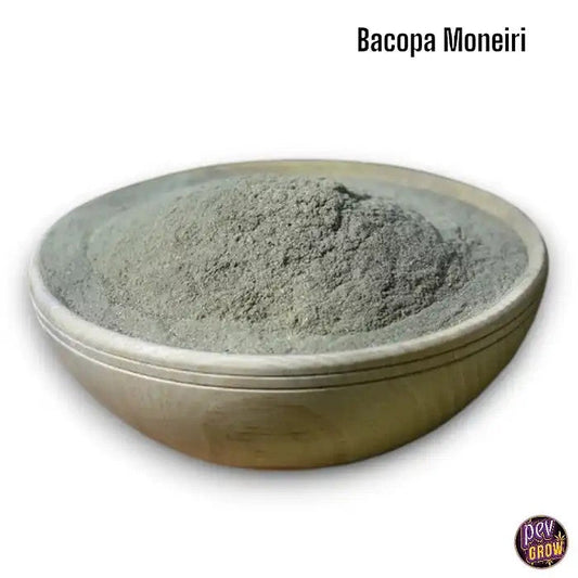 PoudredeBrahmiBio/BacopaMonnieri100gr