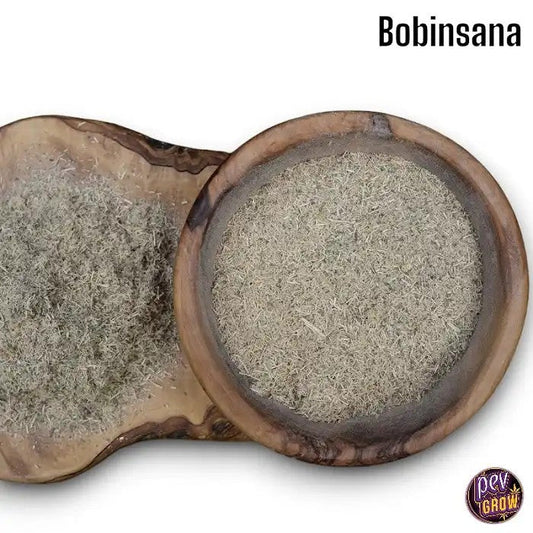 PoudreOrganiquedeBobinsana200gr