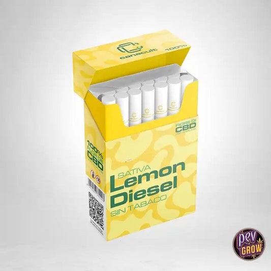 Pre-rollsCBD10%LemonDieselCanacult(20uds)