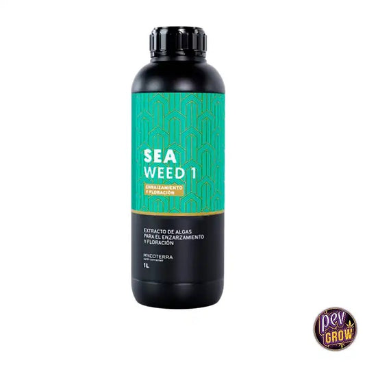 SeaWeed1Mycoterra–Extraitd’AscophyllumNodosumpourleBouturageetlaFloraison