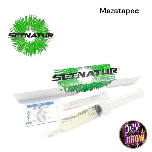 SporesMazapatecSetnatur