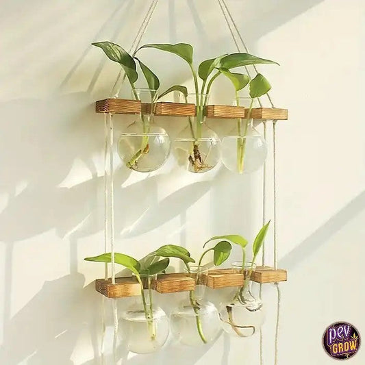 StationdePropagationMurale6AmpoulesVerre&Bois48x25cm