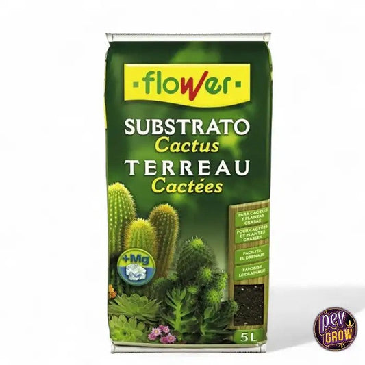 Substratpourcactusetplantessucculentes5litres