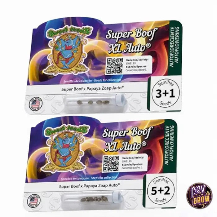 SuperBoofXLAuto–SemencesdeSweetSeeds·AutofloraisonPuissanteetFruitée,6eGénération
