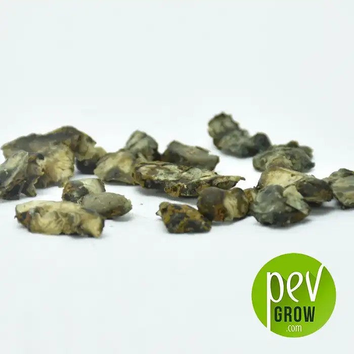 TruffesMagiquesPandora–Pevgrow|VoyageSocial,PhilosophiqueetMaîtrisé