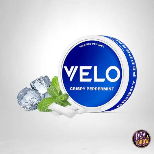 VELOCrispyPeppermint10mg–Sachetsdenicotine|Fraîcheurintense