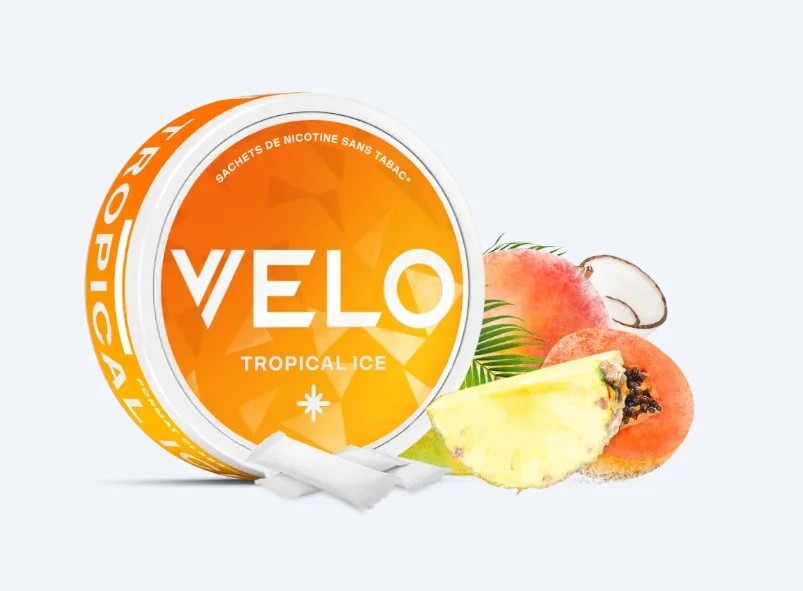 VELOnicopouchestropicalicesachetsdenicotine