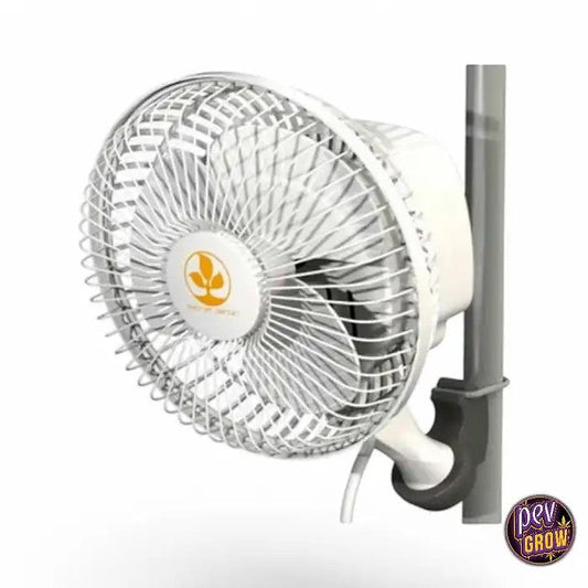 VentilateurMonkeyFanOscillant